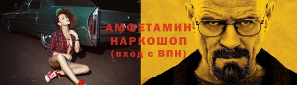 МДПВ Бородино