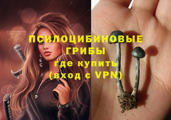прущая мука Верея
