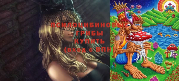 прущие грибы Бугульма